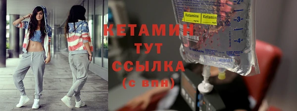 крисы Бронницы