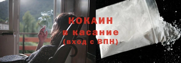прущие грибы Верея