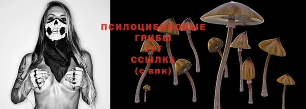 крисы Бронницы