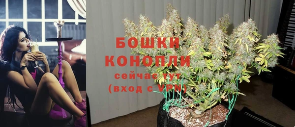 крисы Бронницы