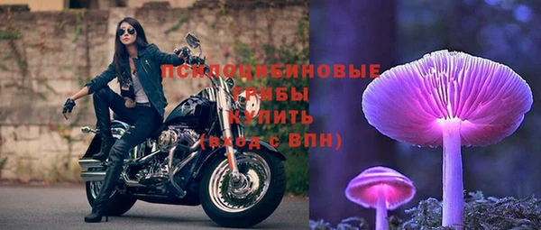 крисы Бронницы