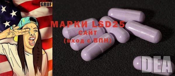 прущие грибы Верея