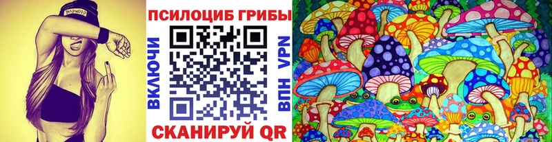 Псилоцибиновые грибы Cubensis  Купить закладки  Ардон 